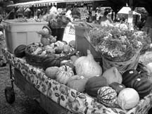 Bountiful: The Fall Fair is a perfect place to find food as fresh as you can get it, and it's fun!